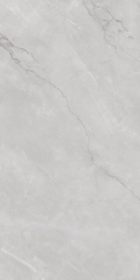 Керамогранит Astonia Silver Glossy Golden Line 60x120 Infinity Ceramica полированный универсальная плитка