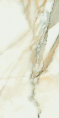 Декор Dec.Calacatta 60х120 A NPlus Fanal керамогранит полированный 921130