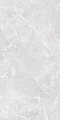 Керамогранит Ambition Silver (Carving)  60х120 Belleza полированный универсальная плитка СК000043630