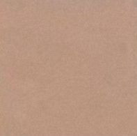 Керамогранит Базовая плитка L4404-1Ch Caramel 04 - Loose 10х10 настенный матовый