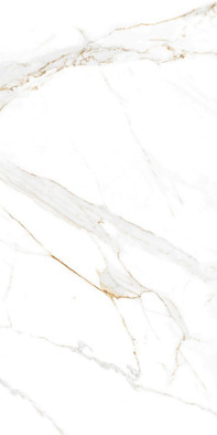 Керамогранит Regal Carrara 60х120 Absolut Gres полированный универсальный AB 1144G