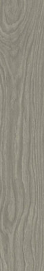 Керамогранит Triana Rect Ceniza 20x120 APE Ceramica матовый напольный