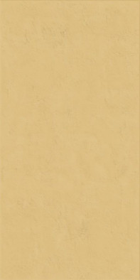 Настенная плитка Wide and Style Mini Ginger Ret 60x120 матовая керамическая