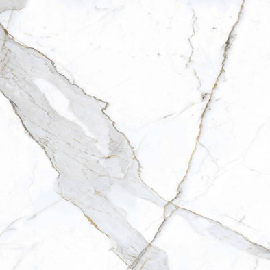 Керамогранит NR101 Dario Primavera 60x60 матовый универсальный