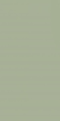 Настенная плитка Feelings Green Paradyz Ceramika 29.8x59.8 матовая керамическая 5902610517228