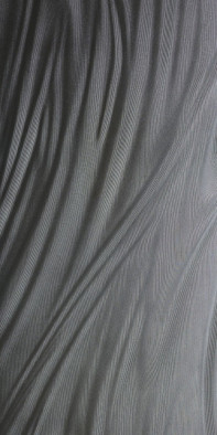 Керамогранит Luce Silver 100x300 Metal Nat. Ariostea матовый универсальная плитка IG6P310534