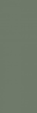 Настенная плитка Nightwish Green Paradyz Ceramika 25x75 матовая керамическая 5902610518065