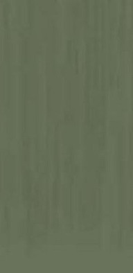 Керамогранит TC Light Green Mat Asia Pacific 60х120 матовый универсальный