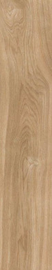 Керамогранит Emotion Hardy Miel 23,3x120, , матовая