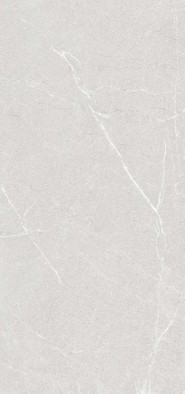 Керамогранит Pg Markstone Silver 59.8х119.8 Simpolo глянцевый универсальная плитка MPL-061868 фото Керамогранит Pg Markstone Silver 59.8х119.8 Simpolo глянцевый универсальная плитка MPL-061868