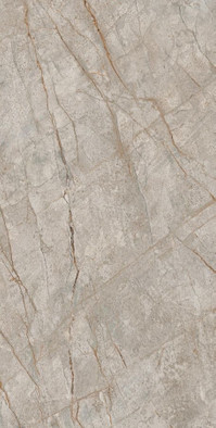Керамогранит Empire Silver Root Rett 80x160/Эмпаир Сильвер Рут Рет 80x160 матовый фото Керамогранит Empire Silver Root Rett 80x160/Эмпаир Сильвер Рут Рет 80x160 матовый
