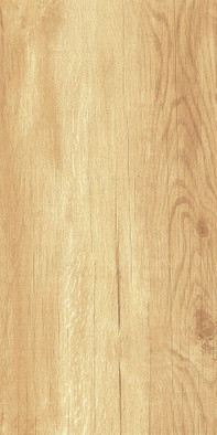 Настенная плитка Paradise Wood WT9OAS31 AltaCera 25x50 глянцевая керамическая фото Настенная плитка Paradise Wood WT9OAS31 AltaCera 25x50 глянцевая керамическая