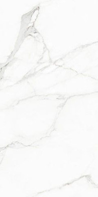 Керамогранит White Beauty Naturale+Rettificato 60x120 универсальный матовый