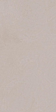 Керамогранит Sisley Beige Mt 59x120 Cerpa матовый универсальная плитка SLARGC430359
