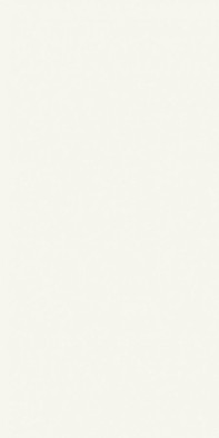 Настенная плитка Modul Blanco 30х60 матовая керамическая