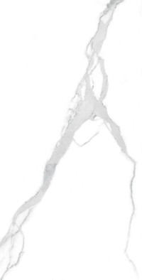 Керамогранит Nuvo Statuario 60х120 FP Arcadia Ceramica полированный универсальный FP1021-A