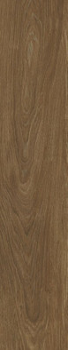 Керамогранит Lionel Cerezo Matt Rect 23x120 STN Ceramica Stylnul матовый напольная плитка N30089 фото Керамогранит Lionel Cerezo Matt Rect 23x120 STN Ceramica Stylnul матовый напольная плитка N30089