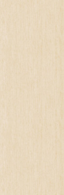 Керамогранит SL.IN.TA.NT 3000х1000х3.5 Arch Skin Stone Travertino матовый универсальный