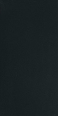 Керамогранит Black and White Black Naturale 30x60 Ret (754463) Floor Gres матовый универсальный