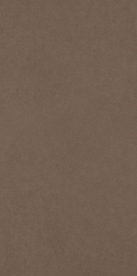 Керамогранит Intero Brown Gres Rekt. Mat. 44,8x89,8 Paradyz Ceramika матовый универсальный 5900139080674