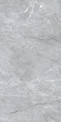 Керамогранит Toledo Серый 60х120 Axima глазурованный, матовый универсальная плитка СК000044701