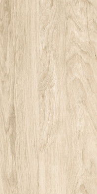 Керамогранит GFA3060BWD04R Brentwood 30х60 Almaceramica матовый универсальная плитка