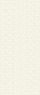 Керамогранит Boost Color Pure Frog 120x278 6 mm  Atlas Concorde Italy матовый универсальная плитка AP3R