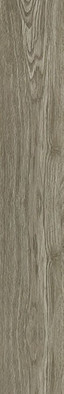 Керамогранит Wood Forest Mat 20х120 NT Ceramic матовый напольный NTT92306M