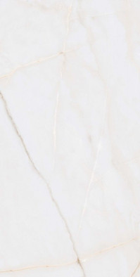 Керамогранит Essenza PW R 60x120 лаппатированный (полуполированный)