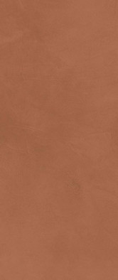 Настенная плитка Prism Caramel 50x120 матовая керамическая