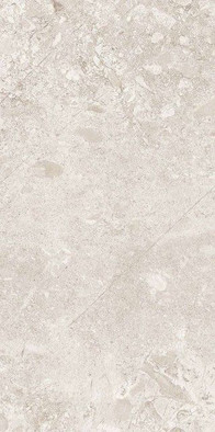 Керамогранит ректифицированный Sand/50x100/RW/R 50x100 универсальный матовый фото Керамогранит ректифицированный Sand/50x100/RW/R 50x100 универсальный матовый