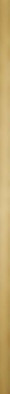 Бордюр Steel Gold Pol 89,8x2,3 LS-01-203-0898-0023-1-049 Tubadzin глянцевый керамический 5903238009034