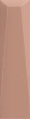 Настенная плитка Pyramid Terracota 5х20 р149225 APE Ceramica MPL-030807 матовая керамическая фото Настенная плитка Pyramid Terracota 5х20 р149225 APE Ceramica MPL-030807 матовая керамическая