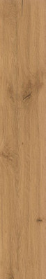 Керамогранит Log Amber Oak 20x120 Atlas Concorde Italy матовый универсальная плитка AX3E фото Керамогранит Log Amber Oak 20x120 Atlas Concorde Italy матовый универсальная плитка AX3E