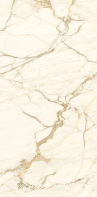 Керамогранит Marmi Classici Calacatta Macchia Vecchia Naturale 60x120 Ariostea матовый универсальный G001229 фото Керамогранит Marmi Classici Calacatta Macchia Vecchia Naturale 60x120 Ariostea матовый универсальный G001229