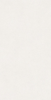 Керамогранит Saturn-WM 60x120 (10 мм) Zodiac Ceramica матовый универсальная плитка Art##0008765