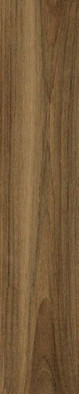Керамогранит Honey -ректификат/ настенный 20x114 настенный глянцевый фото Керамогранит Honey -ректификат/ настенный 20x114 настенный глянцевый