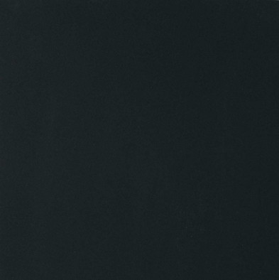 Керамогранит Black and White Black Naturale 60x60 Ret (755474) Floor Gres матовый универсальный