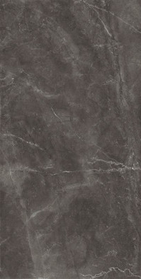 Керамогранит Grey Pulido 120x240 универсальный фото Керамогранит Grey Pulido 120x240 универсальный
