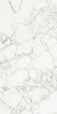Керамогранит Exotic White 60x120 Maimoon Carving универсальная плитка фото Керамогранит Exotic White 60x120 Maimoon Carving универсальная плитка