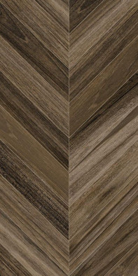 Керамогранит Agadir-R Carbon 60x120 универсальный матовый