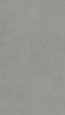 Керамогранит Alter Ego Concrete Nat. Ret  60x120 ABK матовый универсальная плитка PF60016437