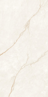 Керамогранит PRO 0278M Savage Matt 60х120 ProGRES Ceramica матовый универсальная плитка