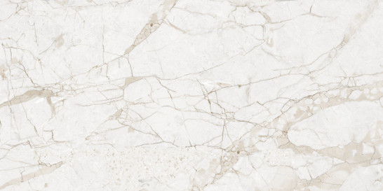Керамогранит Impero Grey Carving 60х120 матовый NT Ceramic  универсальный NTT99519M