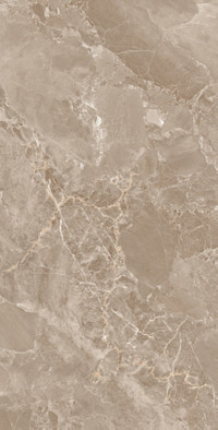 Керамогранит Modena Brown 60x120 Fp Arcadia Ceramica полированный универсальная плитка FP1031-A