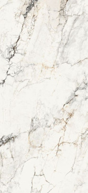 Керамогранит AePao6278Lp 120х278 La Faenza Monoceram Aesthetica лаппатированный (полуполированный) универсальный фото Керамогранит AePao6278Lp 120х278 La Faenza Monoceram Aesthetica лаппатированный (полуполированный) универсальный
