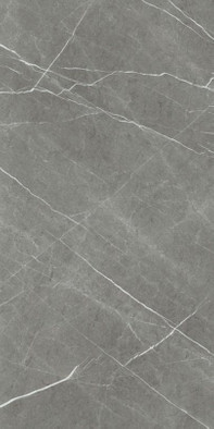 Керамогранит Eternal Natural Dark 60х120 Baldocer матовый универсальный фото Керамогранит Eternal Natural Dark 60х120 Baldocer матовый универсальный