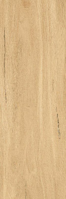 Керамогранит G-81/MR/200x600x9 универсальный матовый