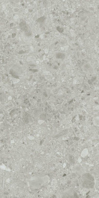 Керамогранит Steel 60x120 универсальный матовый фото Керамогранит Steel 60x120 универсальный матовый