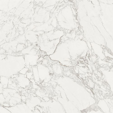 Напольная плитка Dolomiti Brillo Pav.-59,6x59,6 глянцевая керамическая